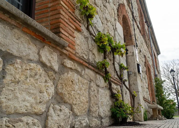 Dona Elvira Y Dona Sol *